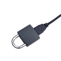 Understanding Network Security